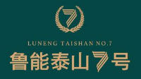 魯能泰山